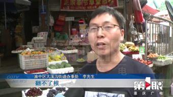 重庆上游新闻爆料APP,聚焦城市热点,传递市民声音 第3张 重庆上游新闻爆料APP,聚焦城市热点,传递市民声音 第3张